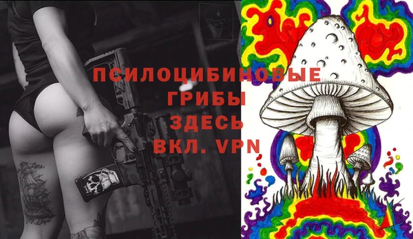 прущие грибы Алексин