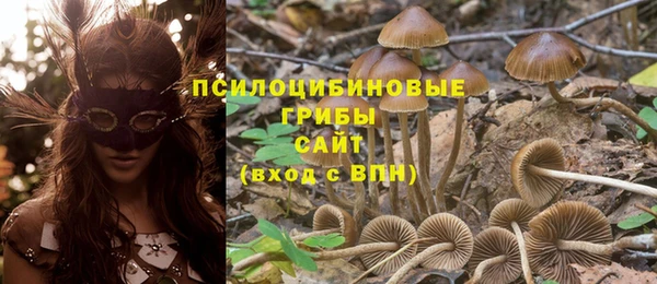 твердый Алзамай
