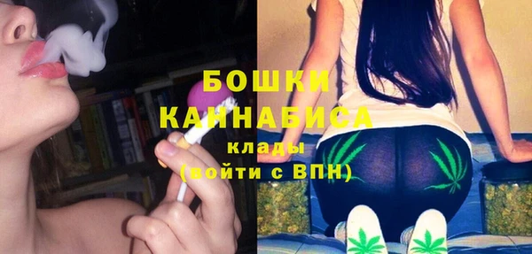 твердый Алзамай
