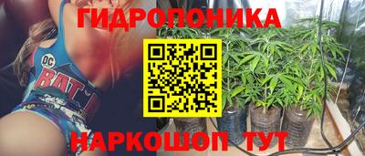 дмт Дубна